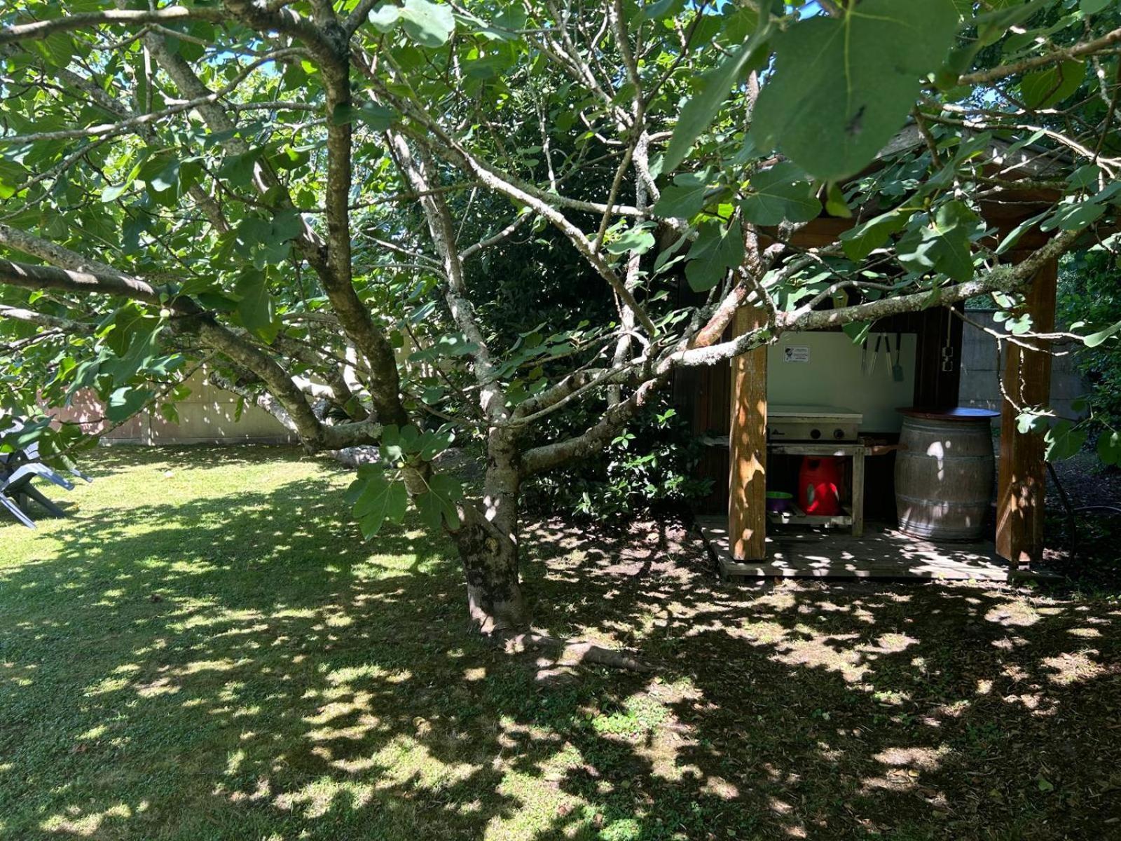 Jolie Maison Le Teich Bassin Park/Wifi Luaran gambar